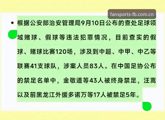FB体育电脑版哪个好 中国足协公布第三批禁足名单,多名俱乐部高管与球员被终身禁赛